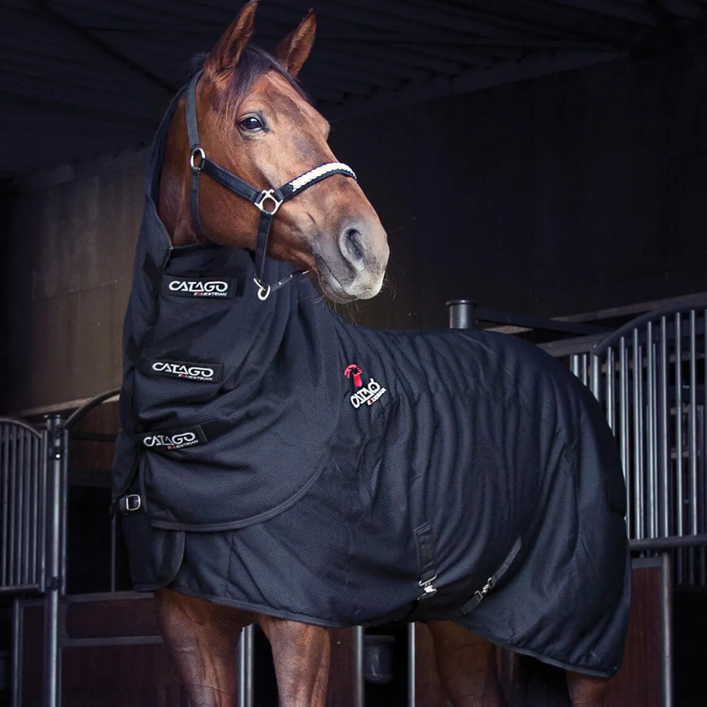 ERS Therapy|Hoof & Hock Boots|Catago® FIR-Tech Rug