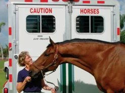 CAUTION HORSES SAFET Stable Hardware|Caution Horses Sign