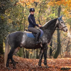 CHARLES OWEN Riding Helmets|Riding Helmets|AYR8® Plus Helmet