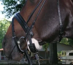 CRYSTAL SPRING FARM Bridle Parts & Accessories|CHIN-EEZE Caveson Pad