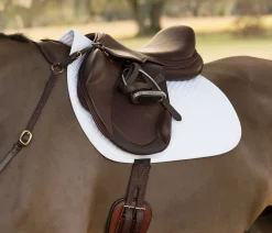 CUEROS SANTA CRUZ English Saddles|Circuit™ Premier Monoflap Event Saddle
