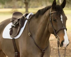 CUEROS SANTA CRUZ English Saddles|Circuit™ Premier Monoflap Event Saddle