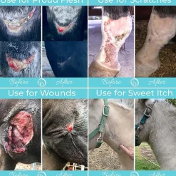 HORSEPOWDER INC First Aid Supplies|Coat Defense® Trouble Spot Drying Paste