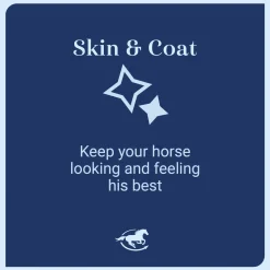 ANIMAL HEALTH INT Horse Supplements|CocoSoya® by SmartEquine™