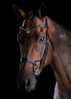 WEATHERBEETA English Bridles|Collegiate® ComFiTec™ Crystal Bridle