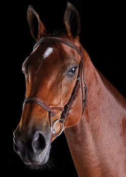 WEATHERBEETA English Bridles|Collegiate® ComFiTec™ Fancy-Stitched Bridle