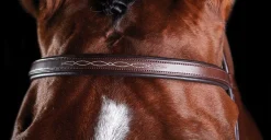 WEATHERBEETA English Bridles|Collegiate® ComFiTec™ Fancy-Stitched Bridle