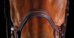 WEATHERBEETA English Bridles|Collegiate® ComFiTec™ Fancy-Stitched Bridle