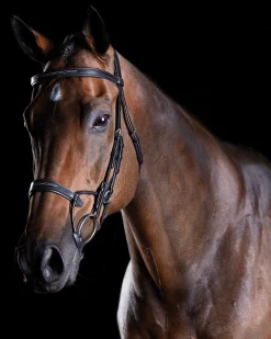 WEATHERBEETA English Bridles|Collegiate® ComFiTec™ Fancy-Stitched Bridle