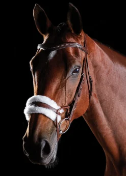 WEATHERBEETA English Bridles|Collegiate® ComFiTec™ Sheepskin Bridle