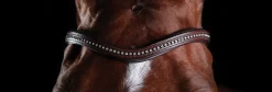 WEATHERBEETA English Bridles|Collegiate® ComFiTec™ Sheepskin Bridle