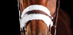 WEATHERBEETA English Bridles|Collegiate® ComFiTec™ Sheepskin Bridle