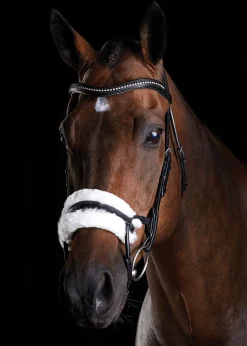 WEATHERBEETA English Bridles|Collegiate® ComFiTec™ Sheepskin Bridle