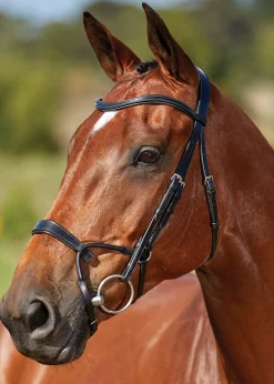 WEATHERBEETA English Bridles|Collegiate® ComFiTec™ Training Bridle
