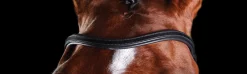 WEATHERBEETA English Bridles|Collegiate® ComFiTec™ Training Bridle