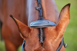 WEATHERBEETA English Bridles|Collegiate® ComFiTec™ Training Bridle