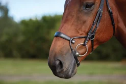 WEATHERBEETA English Bridles|Collegiate® ComFiTec™ Training Bridle