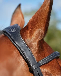 WEATHERBEETA English Bridles|Collegiate® ComFiTec™ Training Bridle