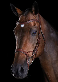 WEATHERBEETA English Bridles|Collegiate® ComFiTec™ Training Bridle
