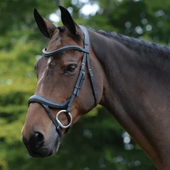 WEATHERBEETA English Bridles|Collegiate® ComFiTec™ Vogue Anatomic Bridle