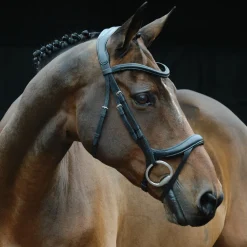 WEATHERBEETA English Bridles|Collegiate® ComFiTec™ Vogue Anatomic Bridle