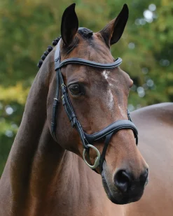 WEATHERBEETA English Bridles|Collegiate® ComFiTec™ Vogue Anatomic Bridle