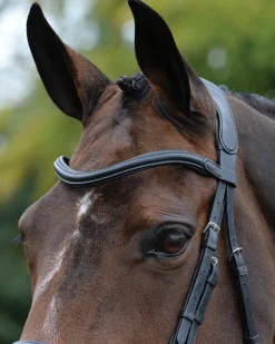 WEATHERBEETA English Bridles|Collegiate® ComFiTec™ Vogue Anatomic Bridle