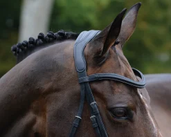 WEATHERBEETA English Bridles|Collegiate® ComFiTec™ Vogue Anatomic Bridle
