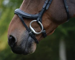 WEATHERBEETA English Bridles|Collegiate® ComFiTec™ Vogue Anatomic Bridle