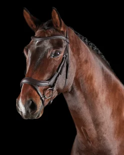 WEATHERBEETA English Bridles|Collegiate® ComFiTec™ Vogue Anatomic Bridle