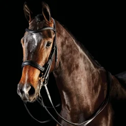 WEATHERBEETA English Bridles|Collegiate® ComFiTec™ Weymouth Bridle