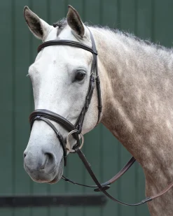 WEATHERBEETA English Bridles|Collegiate® Essential Padded Raised Flash Bridle