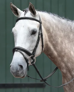 WEATHERBEETA English Bridles|Collegiate® Essential Padded Raised Flash Bridle