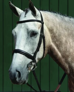 WEATHERBEETA English Bridles|Collegiate® Essential Padded Raised Caveson Bridle