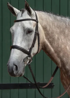 WEATHERBEETA English Bridles|Collegiate® Essential Padded Raised Caveson Bridle