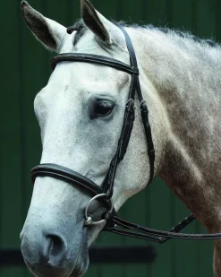 WEATHERBEETA English Bridles|Collegiate® Essential Padded Raised Fancy-Stitched Caveson Bridle