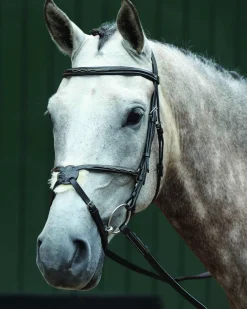 WEATHERBEETA English Bridles|Collegiate® Essential Padded Raised Fancy-Stitched Figure-8 Bridle