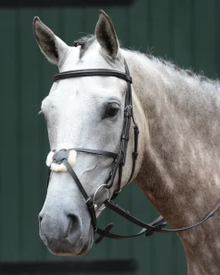 WEATHERBEETA English Bridles|Collegiate® Essential Padded Raised Figure-8 Bridle