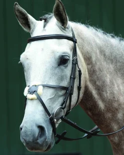 WEATHERBEETA English Bridles|Collegiate® Essential Padded Raised Figure-8 Bridle