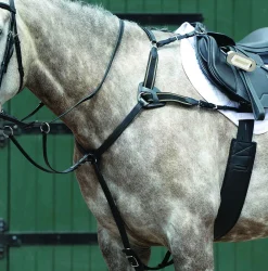 WEATHERBEETA Martingales & Breastplates|Collegiate® Essential 5-Point Breastplate