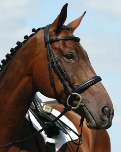 WEATHERBEETA English Bridles|Collegiate® Syntovia+ Padded Raised Caveson Bridle