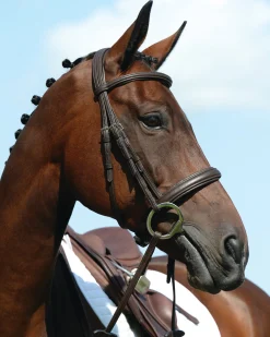 WEATHERBEETA English Bridles|Collegiate® Syntovia+ Padded Raised Caveson Bridle