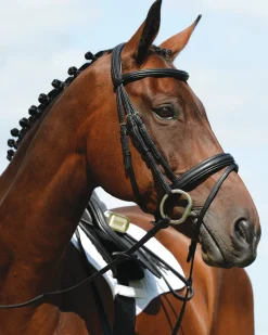 WEATHERBEETA English Bridles|Collegiate Syntovia+ Padded Raised Flash Bridle