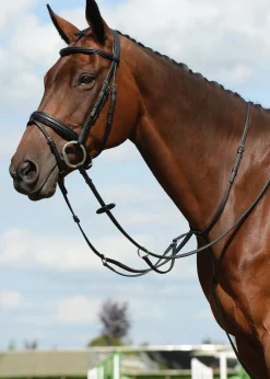 WEATHERBEETA Martingales & Breastplates|Collegiate® Syntovia+ Plain Flat Running Martingale