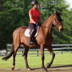 KIRSCH Short Sleeve Shirts|CoolBlast® 100 Ladies’ Leslie Short Sleeve Sun Shirt