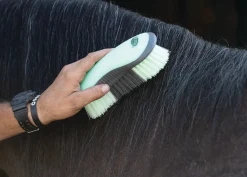 WEAVER LEATHER Bathing Tools|Brushes & Hoof Picks|Dandy Brush