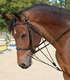 ERS Lunging & Training Equipment|De Gogue