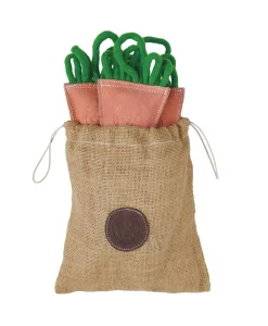 SHIRE HORSE Dog Toys, Treats & Accessories|Dover Dog Carrot Bunch Dog Toy