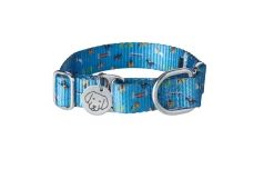 ATTIC INDIA Collars & Leashes|Dover Dog Martingale Collar