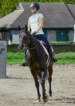 KIRSCH Short Sleeve Shirts|Dover Saddlery® Ladies’ Notch-V Stripe Short Sleeve Shirt